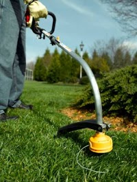Tyne Valley Lawncare 375403 Image 3